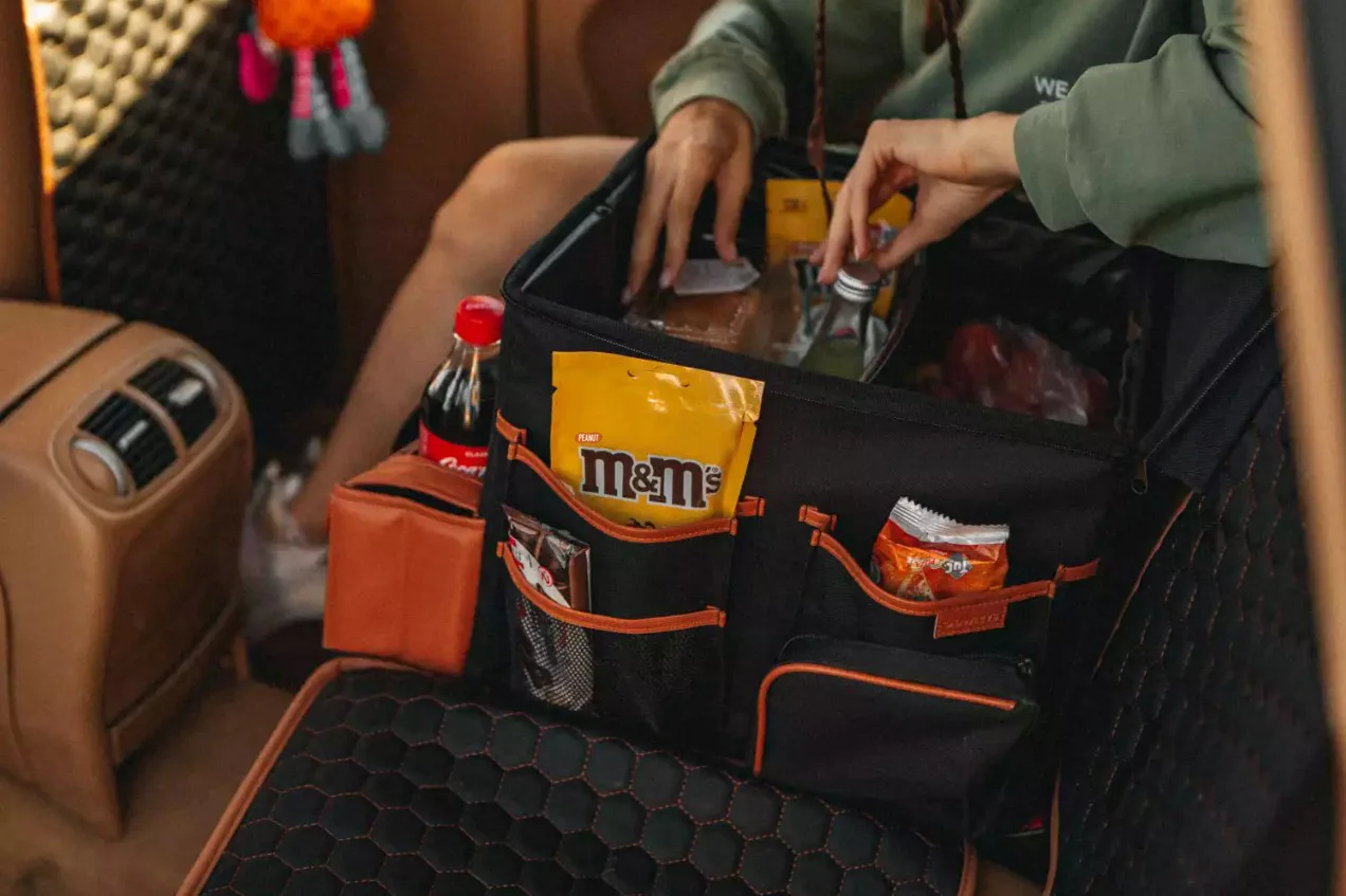 Toyota Corolla organizer for road trip